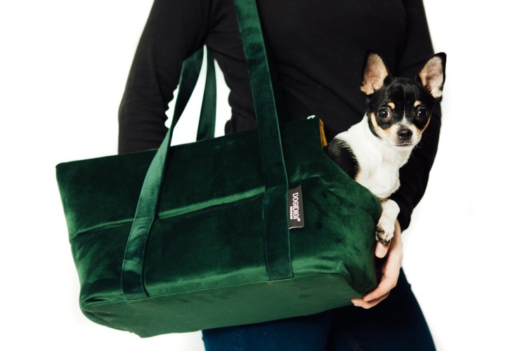 torba-do-noszenia-psa-kolor-do-wyboru (1).jpg