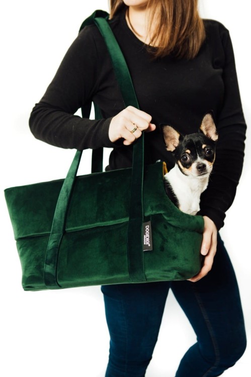 torba-do-noszenia-psa-kolor-do-wyboru.jpg