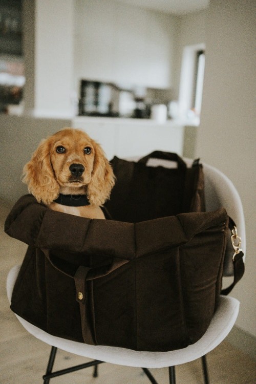 torba-do-przewozenia-psa-smart-czarna (2).jpg