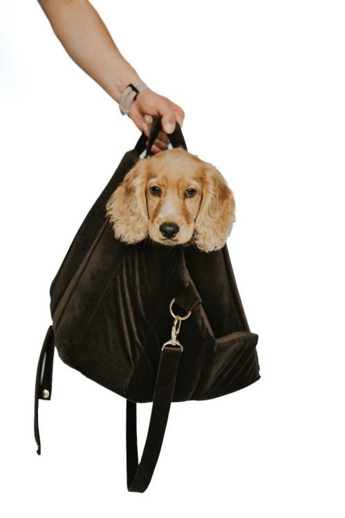 torba-do-przewozenia-psa-smart-czarna (3).jpg