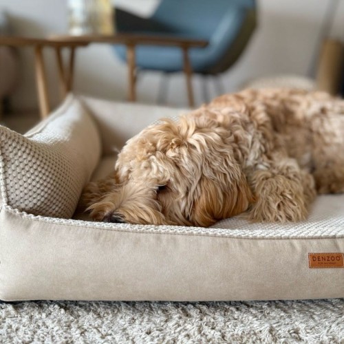 7b0cd86f4516aa42bb25ec357ffc8737