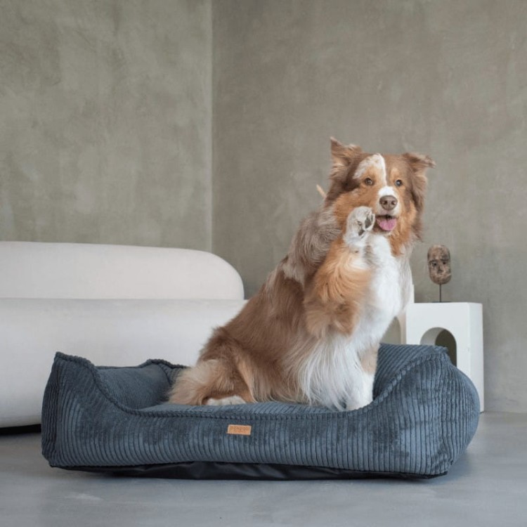 4b78df984048ffe02ab95be3f83d5b03