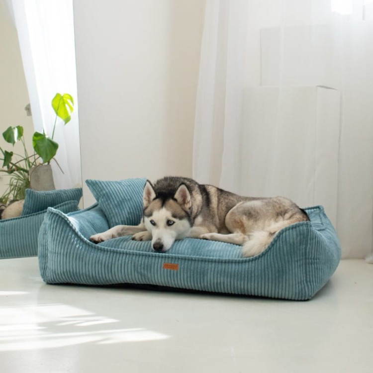 7d14bbbba1dd88ca1bb7844f7206f2f8