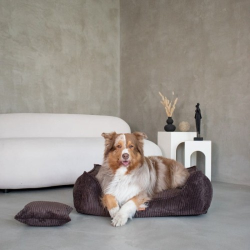 7f7a8728579bc09492e5e9e1d38968bb