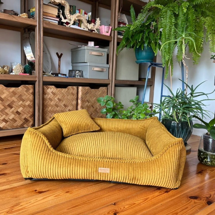 65e3112f714a456cf77e47f9b90038a8