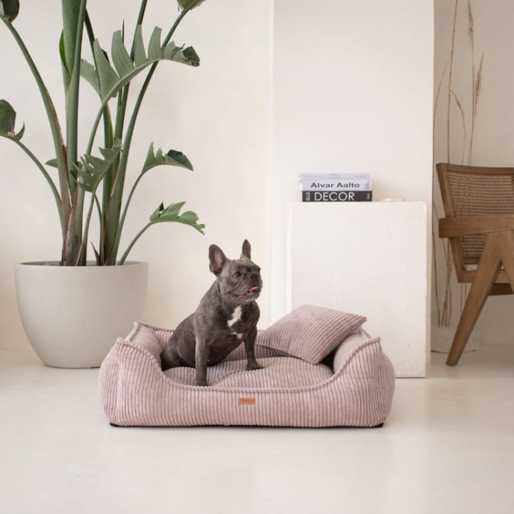 35e3ebace894894d0f40c5dec28a8be6