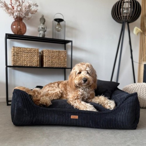 c9a1e46ec64aa9105aed3eaeab36adc9