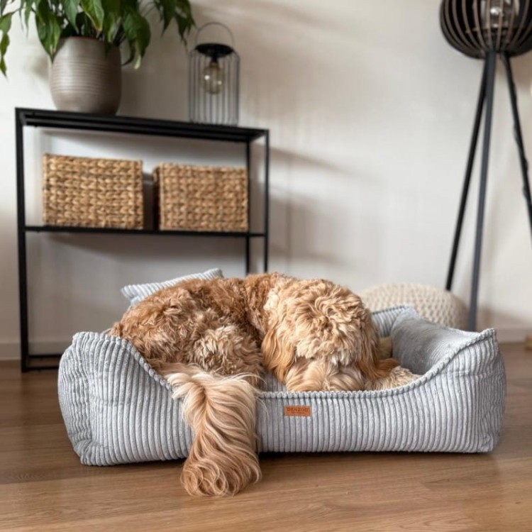 2a20907c52756626d1eca8869bbe3ecd