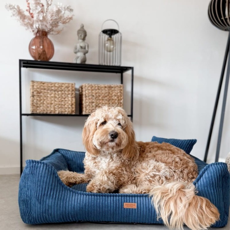 cf6dcb51754dc09835b6349edadddb13