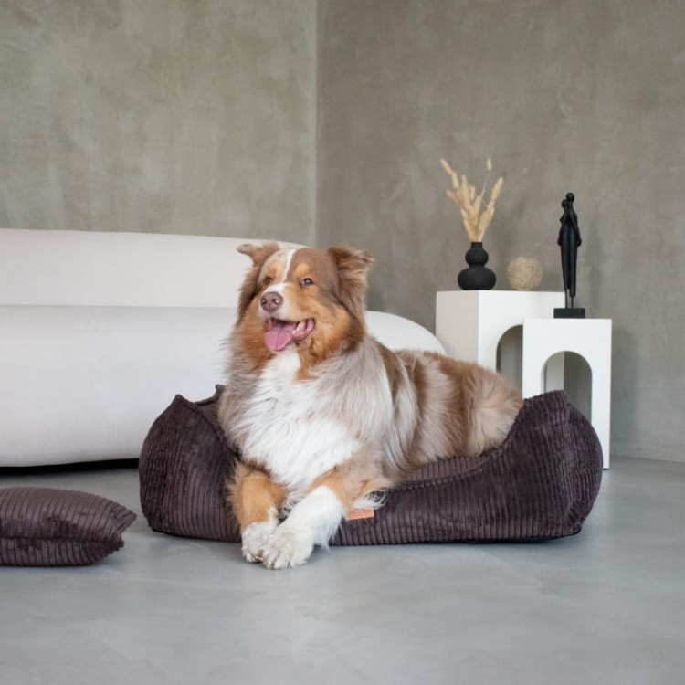 237c9b88112c9b763f2054df44582236