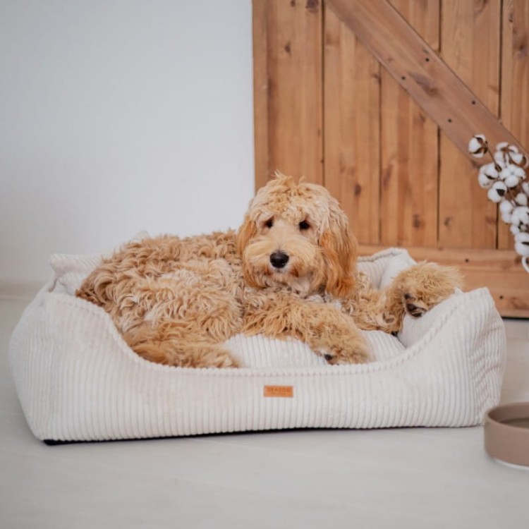 a597fcddf70fb255a50cad6007d6d7ac