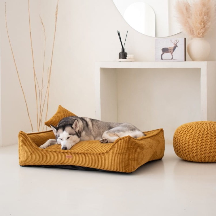 5c0f05690e5c79bf75f104f1db8ff225