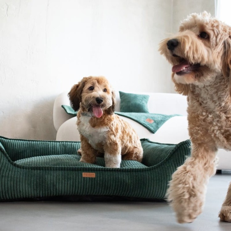 162a8ddd4d56301a872a98414d57a864