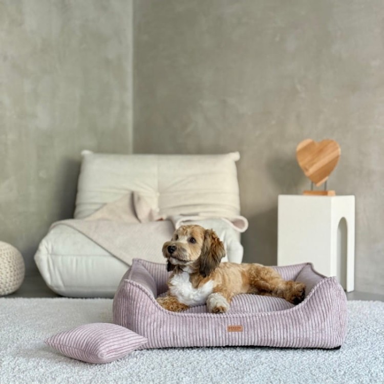 72b86998ee87437179cfc15b9ee9be24