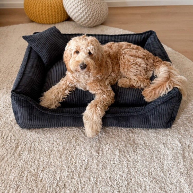 5cd7a26a5bfaf96dcf18feab438e31fd