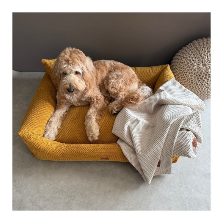 legowisko-kanapa-prato-mustard (5).jpg