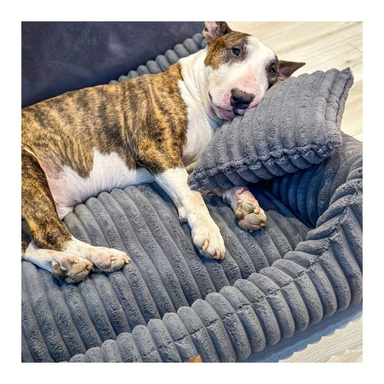 legowisko-dla-psa-denzoo (2).jpg