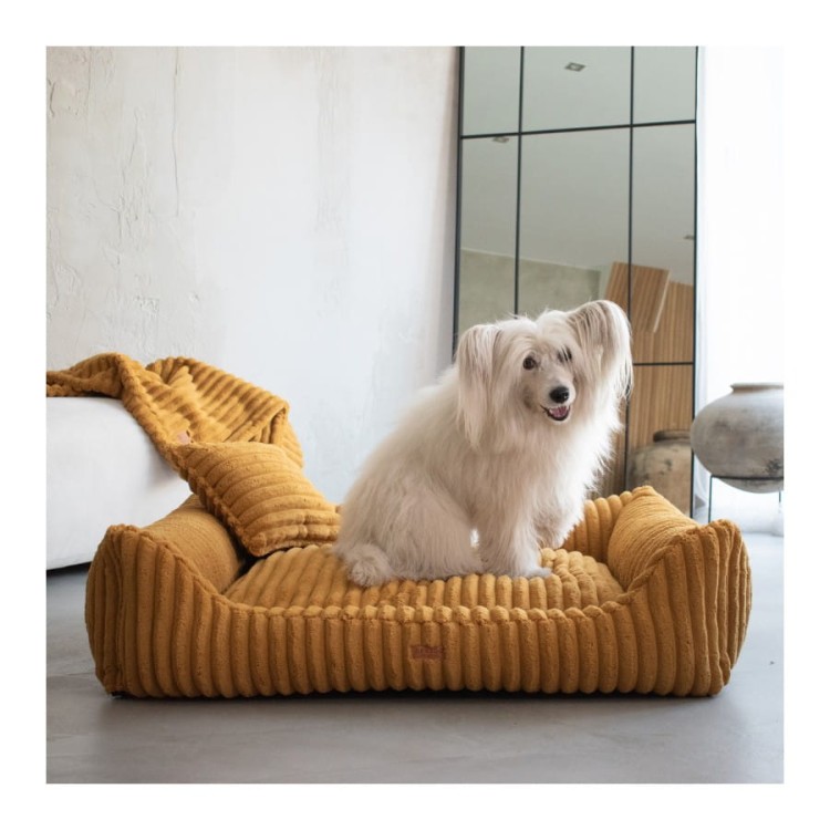 legowisko-dla-psa-denzoo (5).jpg