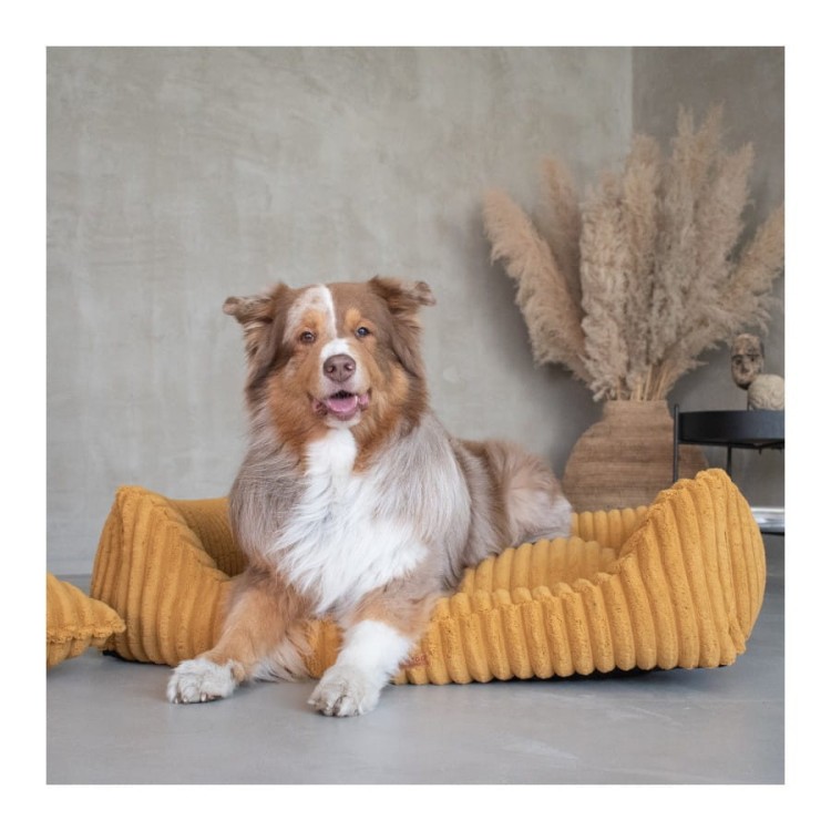 legowisko-dla-psa-denzoo (7).jpg