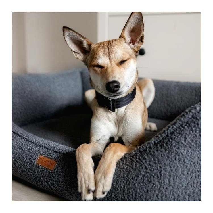 legowisko-dla-psa-denzoo (8).jpg