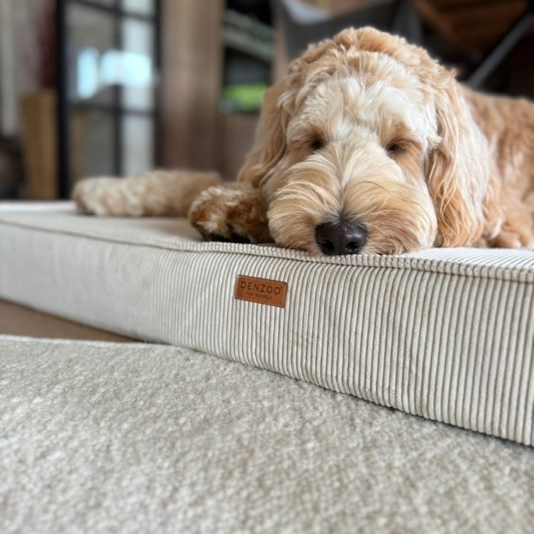 materac-bezowy-torino-beige (2).jpg