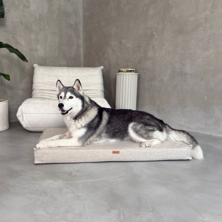 materac-dla-psa-i-kota-ortopedyczny-bezowy-roma-beige (2).jpg