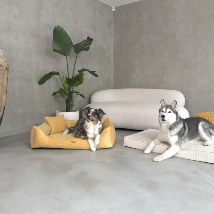 legowisko-dla-psa-i-kota-z-materacem-ortopedycznym-musztardowe-torino-mustard (2).jpg