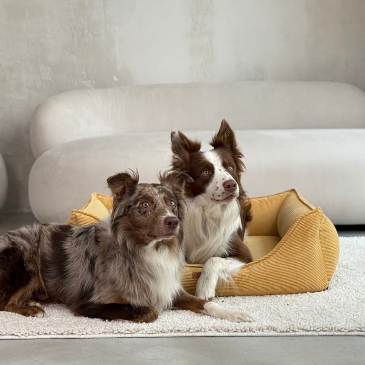 legowisko-dla-psa-i-kota-z-materacem-ortopedycznym-musztardowe-torino-mustard (3).jpg