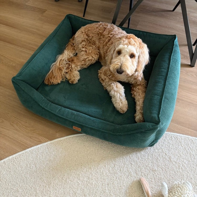 legowisko-dla-psa-i-kota-z-materacem-ortopedycznym-butelkowa-zielen-torino-bottle-green (2).jpg
