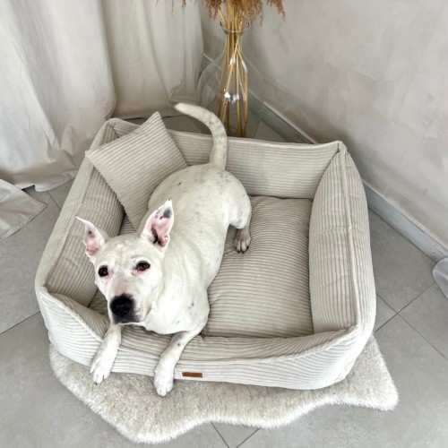 legowisko-premium-dla-psa-i-kota-ortopedyczne-szare-napoli-beige (1).jpg