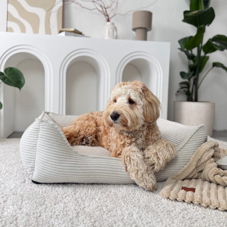 legowisko-premium-dla-psa-i-kota-ortopedyczne-szare-napoli-beige (3).jpg