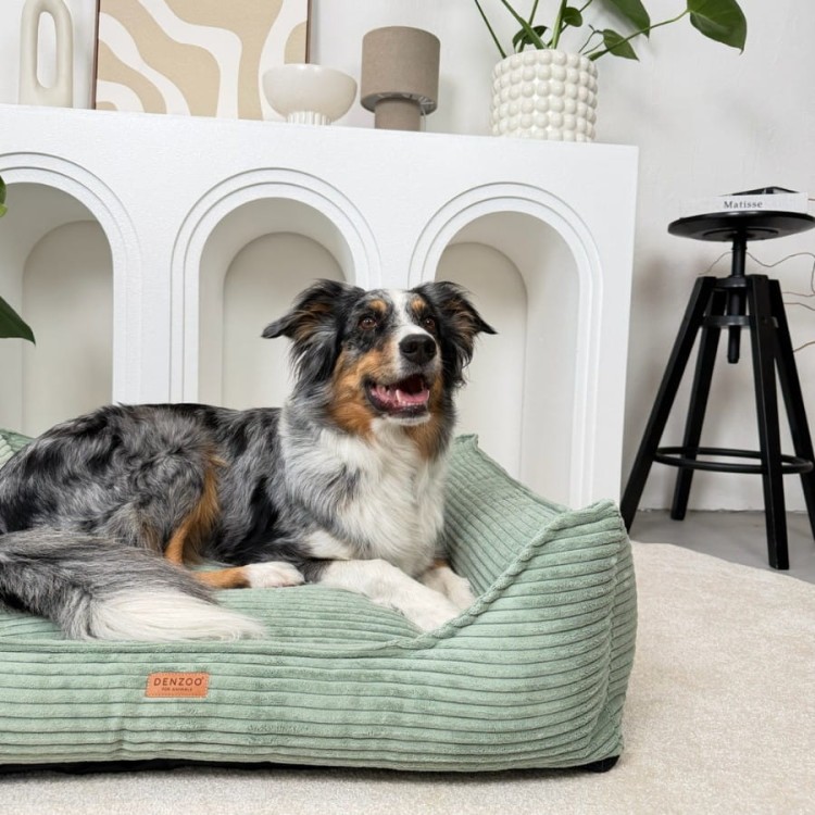 legowisko-premium-dla-psa-i-kota-ortopedyczne-pistacjowe-napoli-pistachio (1).jpg