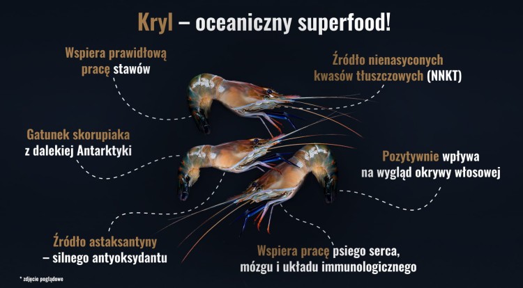 kryl-superfood-karma-berry-line-wolowina-z-krylem.jpg