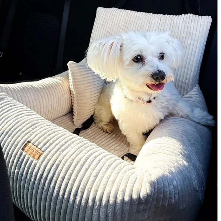 fotelik-samochdowy-dla-psa-i-kota-denzoo-milano-beige (1).jpg