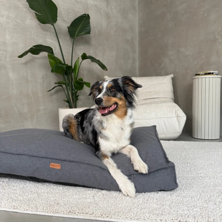 poduszka-dla-psa-ortopedyczna-szara-denzoo-dark-grey (2).jpg