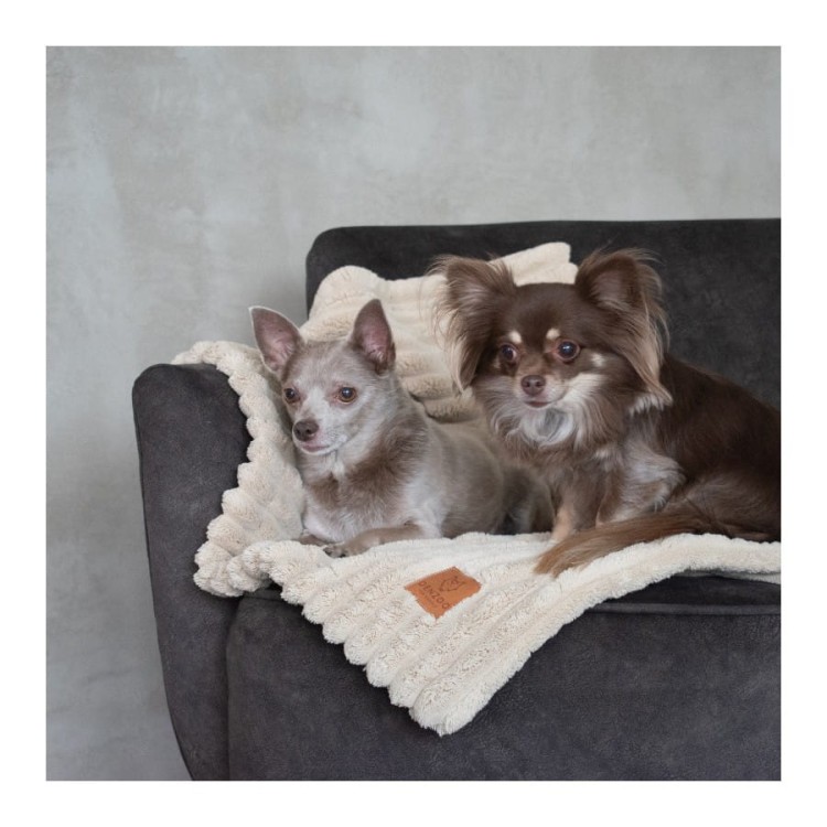 kocyk-dla-psa-i-kota-denzoo-palermo-beige (2).jpg