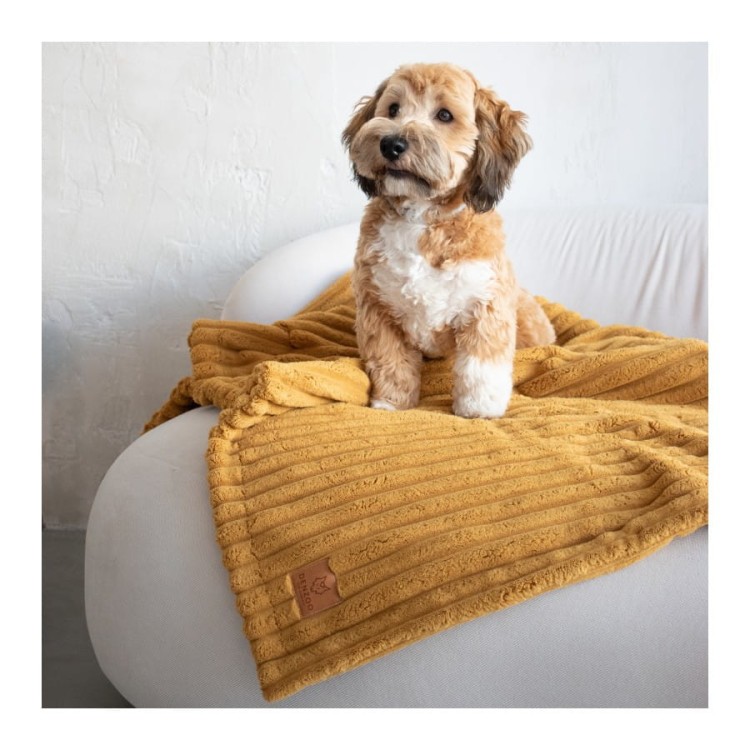 kocyk-dla-psa-i-kota-denzoo-palermo-mustard (1).jpg