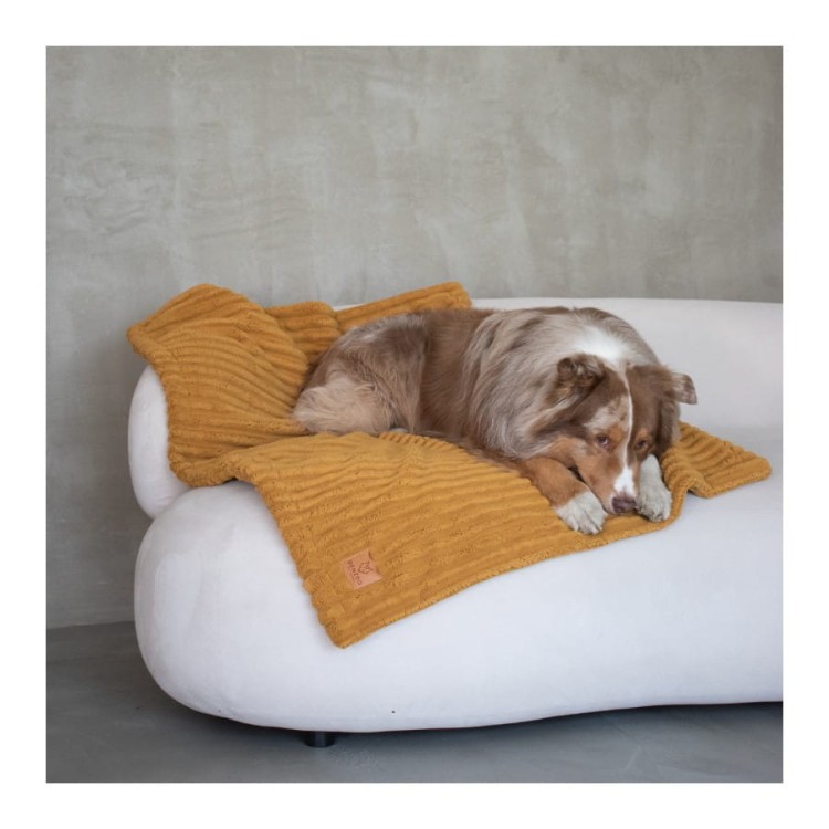 kocyk-dla-psa-i-kota-denzoo-palermo-mustard (2).jpg