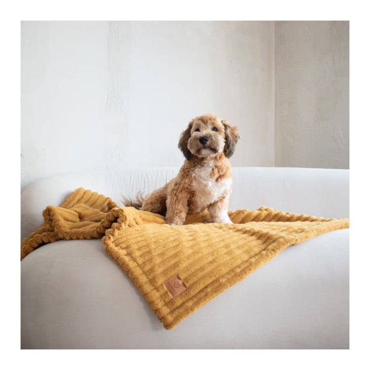 kocyk-dla-psa-i-kota-denzoo-palermo-mustard (4).jpg