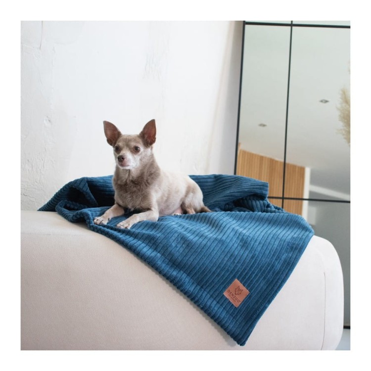 koc-dla-psa-i-kota-denzoo-milano-granatowy (2).jpg