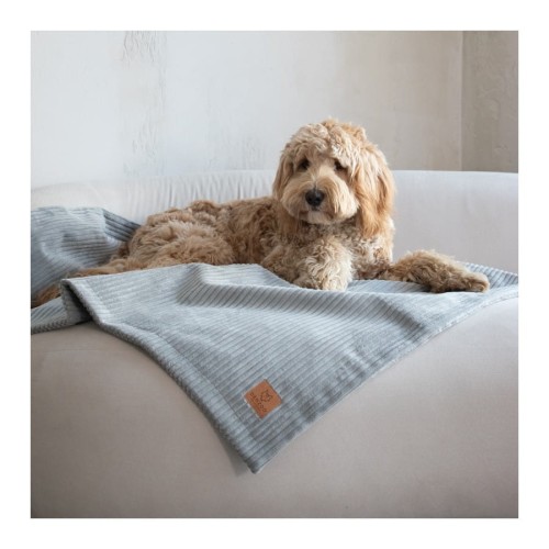 kocyk-dla-psa-denzoo-milano-grey (1).jpg