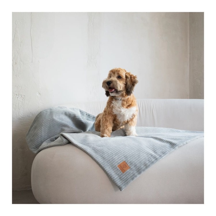 kocyk-dla-psa-denzoo-milano-grey (3).jpg