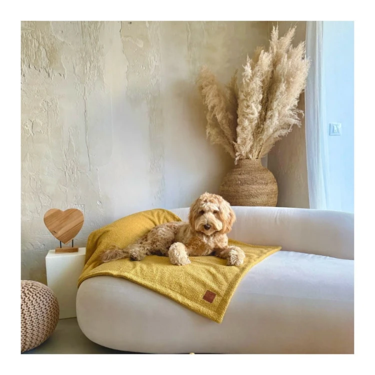 kocyk-dla-psa-z-polaru-denzoo-belluno-mustard (2).jpg