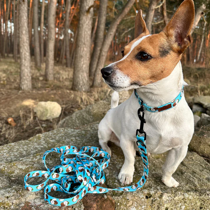 niebieska-obroza-dla-psa-w-kokosy (2).webp