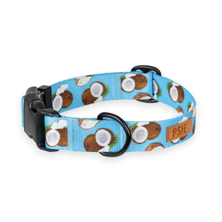 niebieska-obroza-dla-psa-w-kokosy (5).webp