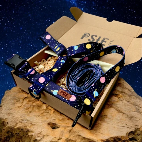 obroza-dla-psa-granatowa-we-wzory (2).webp