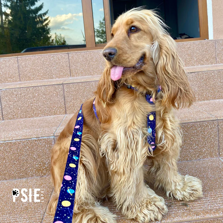 obroza-dla-psa-granatowa-we-wzory (3).webp