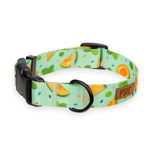 obroza-dla-dużego-psa-zielona-w-owoce (1).webp