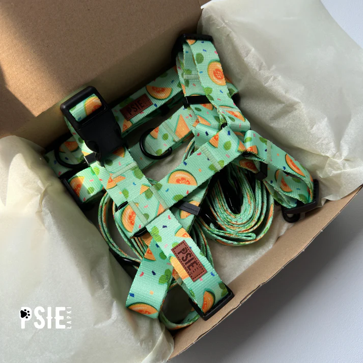 obroza-dla-dużego-psa-zielona-w-owoce (2).webp