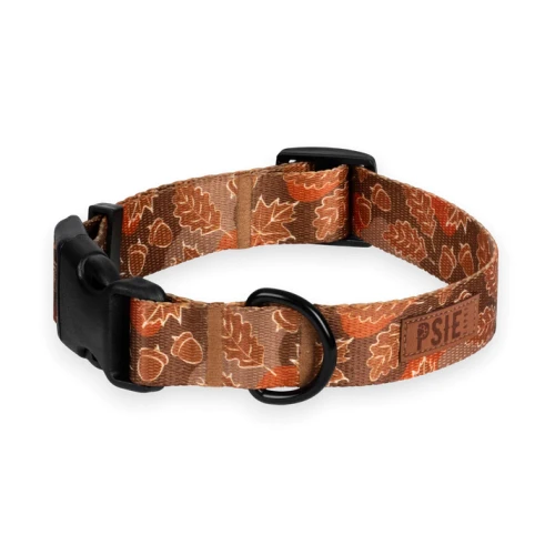 obroża-dla-pda-brązowa-regulowana-z-klamra (1).webp